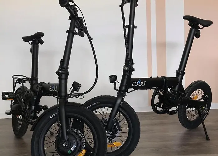 Vila Iris Zadarvillas *