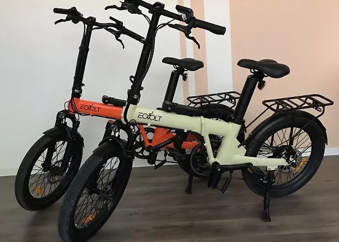 Iris Zadarvillas Vila